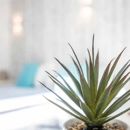 Amarelo * Одесейше