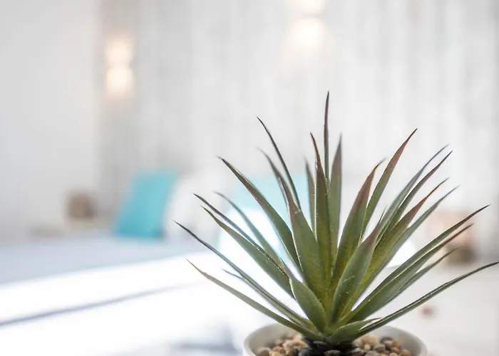 Amarelo * オデセイシェ